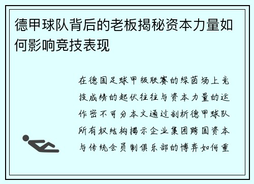 德甲球队背后的老板揭秘资本力量如何影响竞技表现