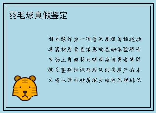 羽毛球真假鉴定